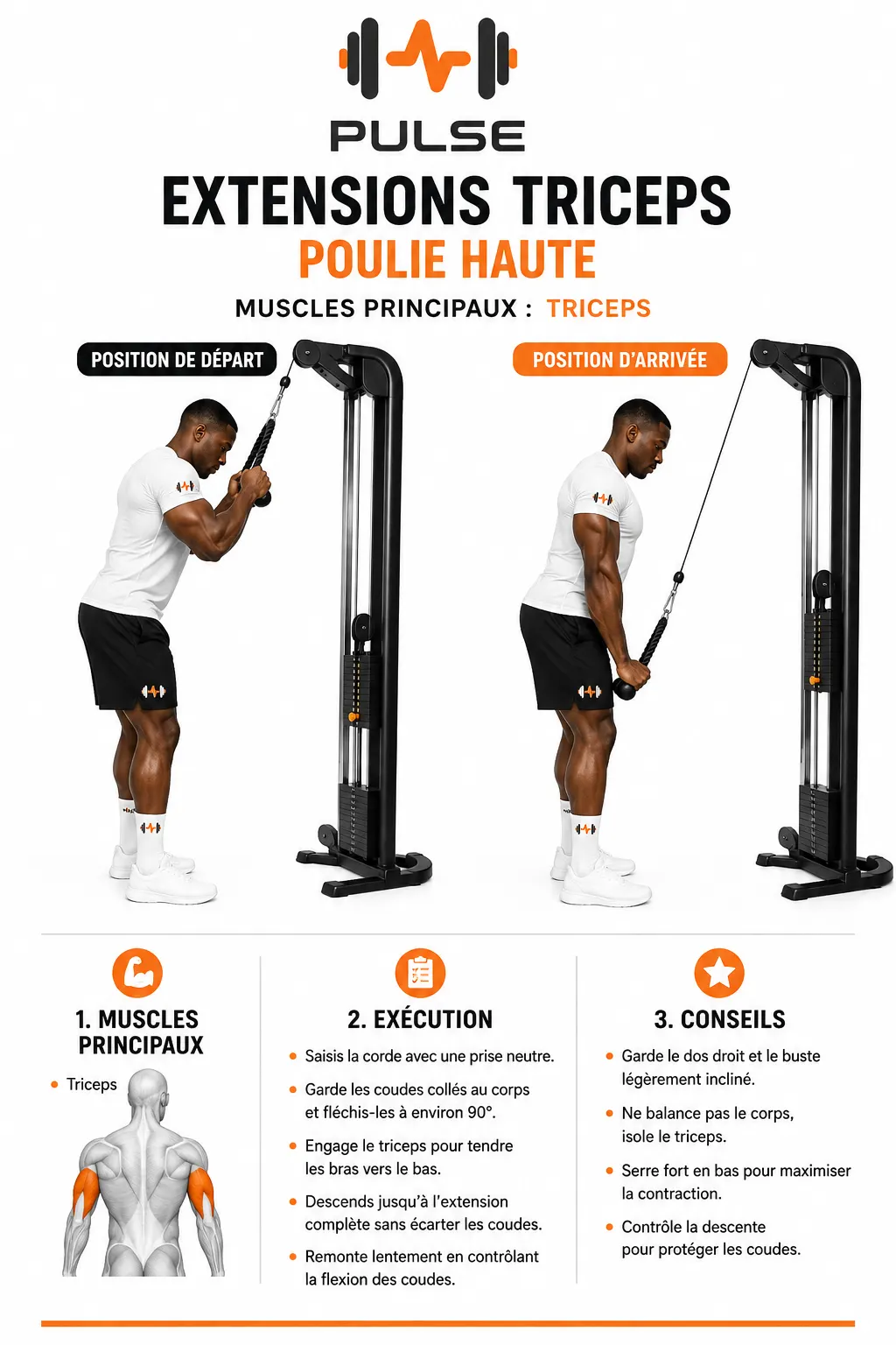 Extensions Triceps Poulie Haute : position et exécution du mouvement