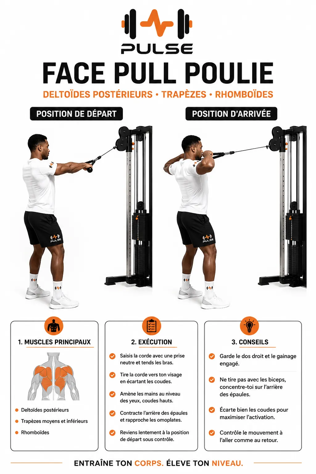 Face Pull Poulie : position et exécution du mouvement