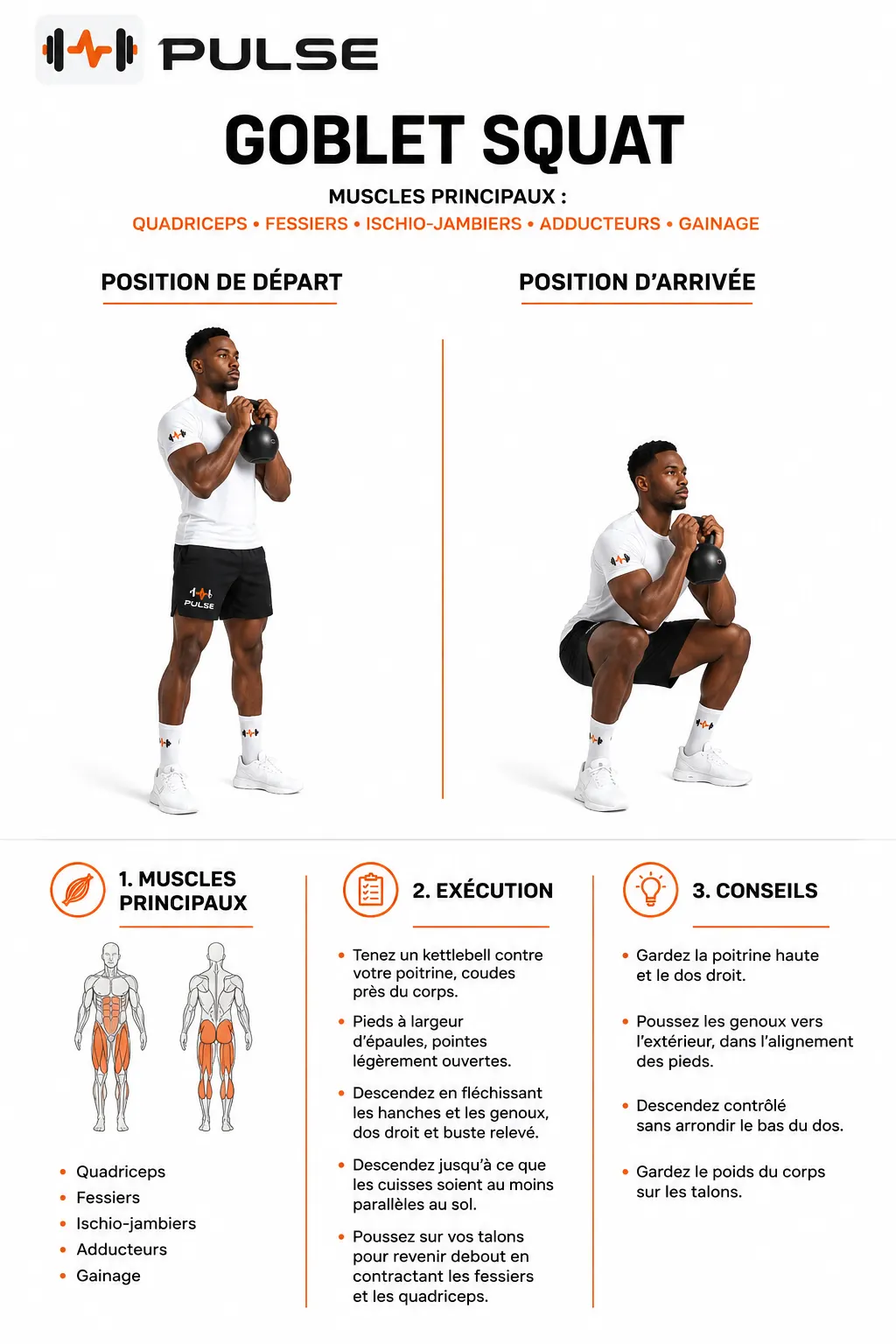 Goblet Squat : position et exécution du mouvement
