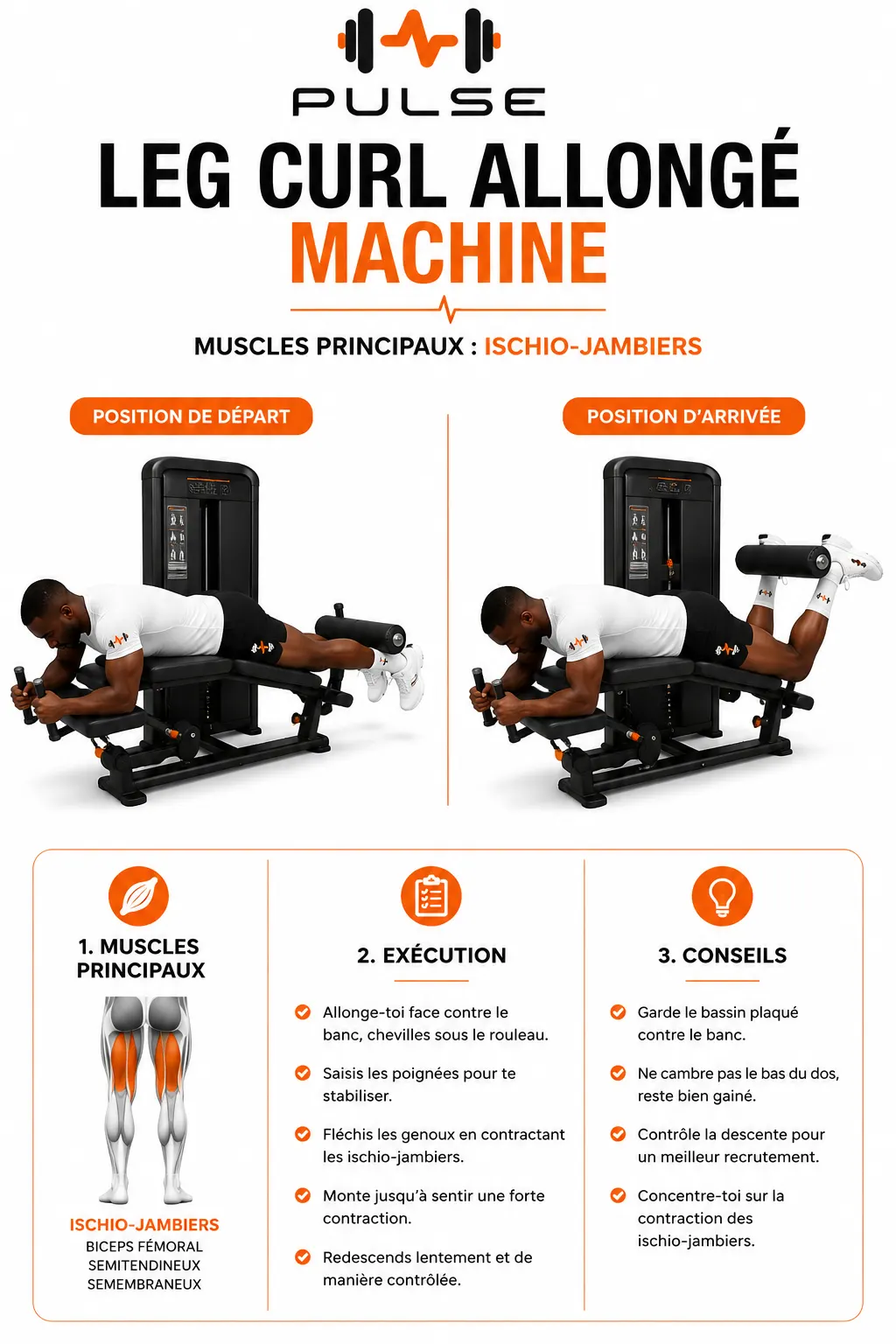 Leg Curl Allongé Machine : position et exécution du mouvement