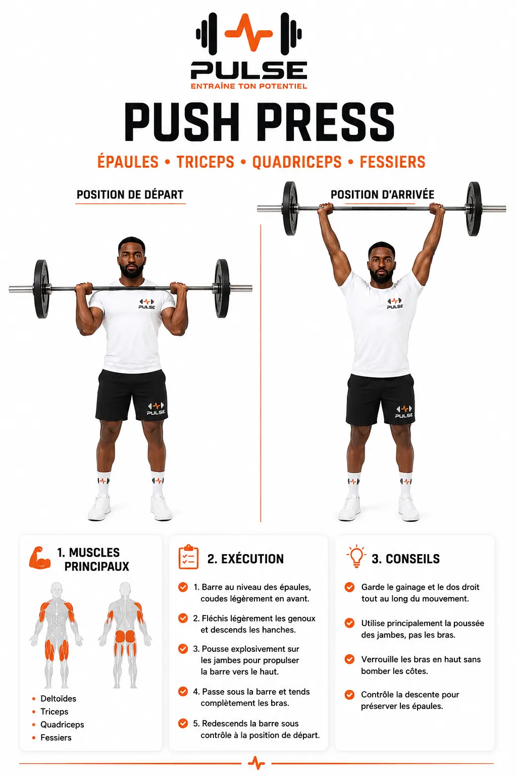 Push Press : position et exécution du mouvement