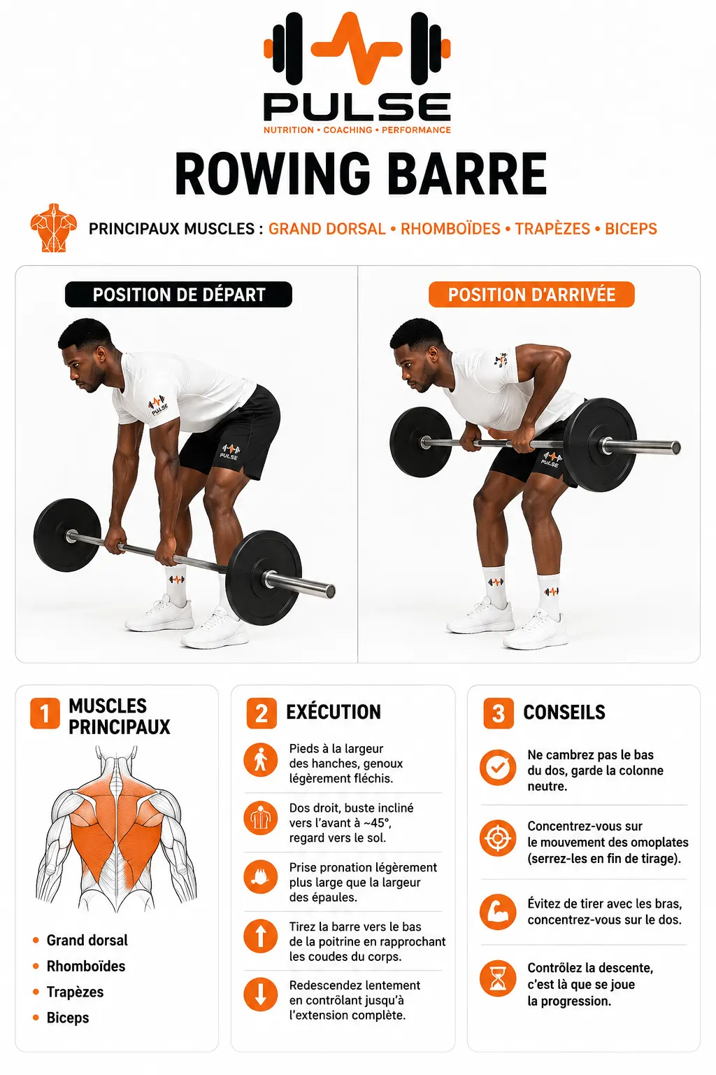Rowing Barre : position et exécution du mouvement