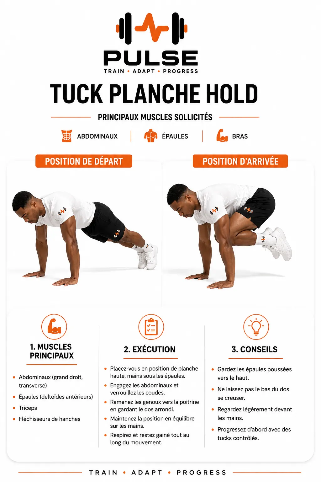 Tuck Planche Hold : position et exécution du mouvement